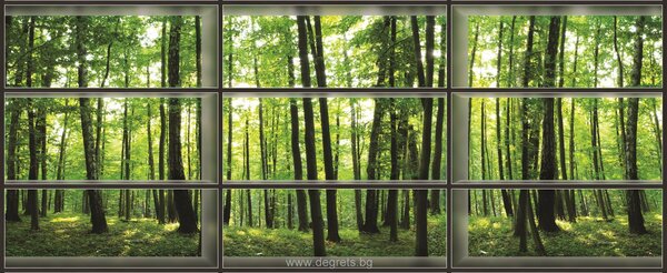 Фототапет флис Поглед към гората 3D панорама 3XL