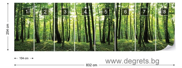 Фототапет флис Поглед към гората 4XL
