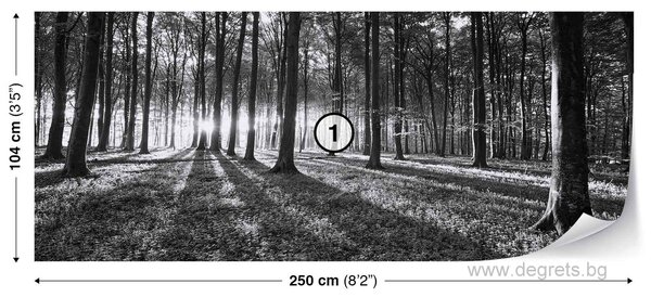 Фототапет флис Черно-бяла гора