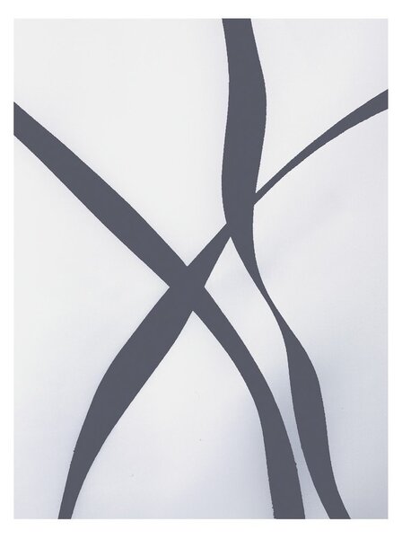 Завеса за душ 120x200 cm Ribbon – Spirella