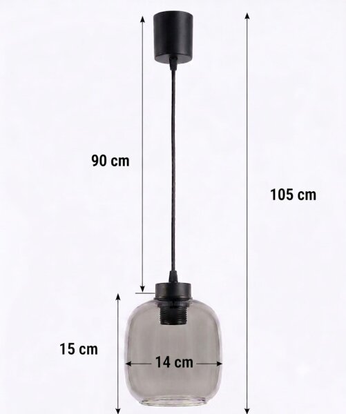 Brilagi - LED полилей на кабел R GLASS 1xE27/60W/230V Ø 14 см черен/димно-сив