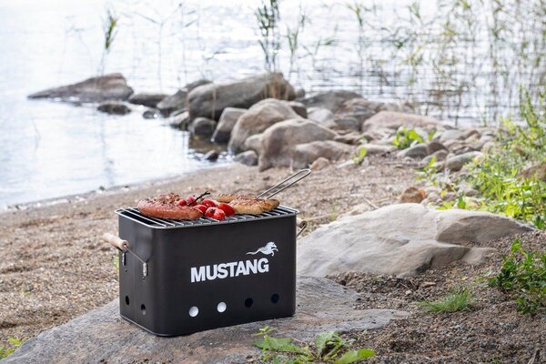 MUSTANG Барбекю на дървени въглища “Party“