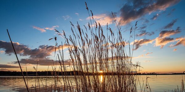 Картина на платно – Спокойна река до село
