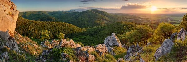 Картина на платно – Природа, залята от слънце