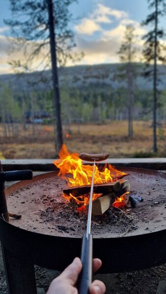 MUSTANG Телескопична вилица за BBQ