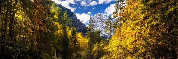 Картина на платно – Планински пейзаж