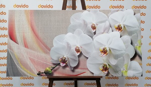 Картина на платно – Бяла орхидея на платно
