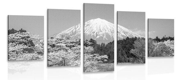 Картини от 5 части – Планината Фуджи в черно-бяло