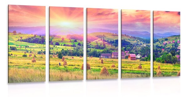 Картини от 5 части – Купи сено в Карпатите