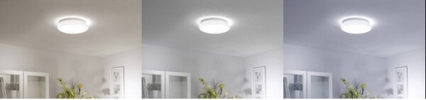 Leuchten Direkt 14742-16 - LED RGB Димируема лампа JUPI LED/18W/230V + д.у