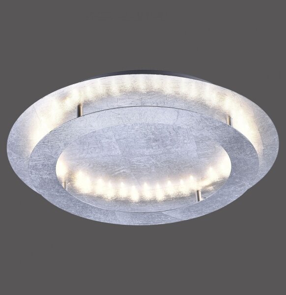 Paul Neuhaus 9621-21 - LED Лампа NEVIS LED/24W/230V