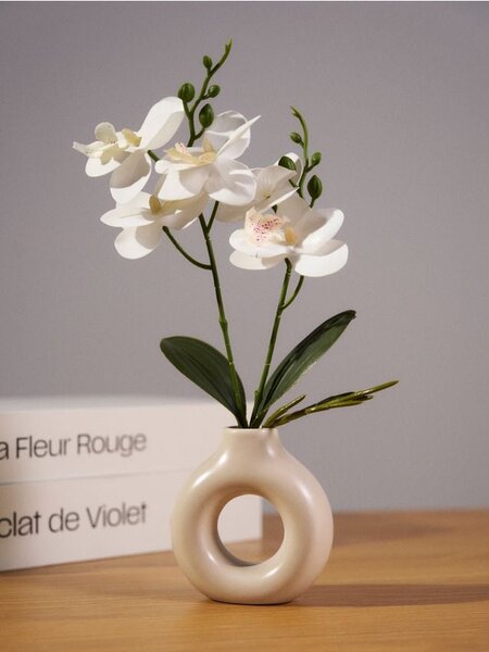 Sinsay - Декоративно растение във ваза - бял