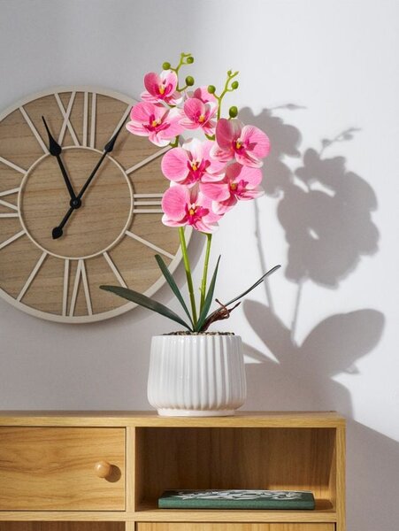 Sinsay - Pianta decorativa in vaso - пастелнорозово