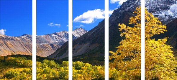 Картини от 5 части – Великолепна природа на Камчатка в Русия