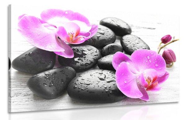 Картина на платно – Красива хармония на камъни и орхидея