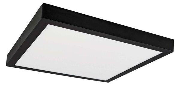 LED Лампа FENIX LED/24W/230V 3800K 29.8 см