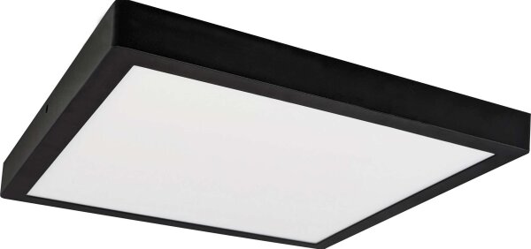 LED Лампа FENIX LED/32W/230V 3800K 40 см