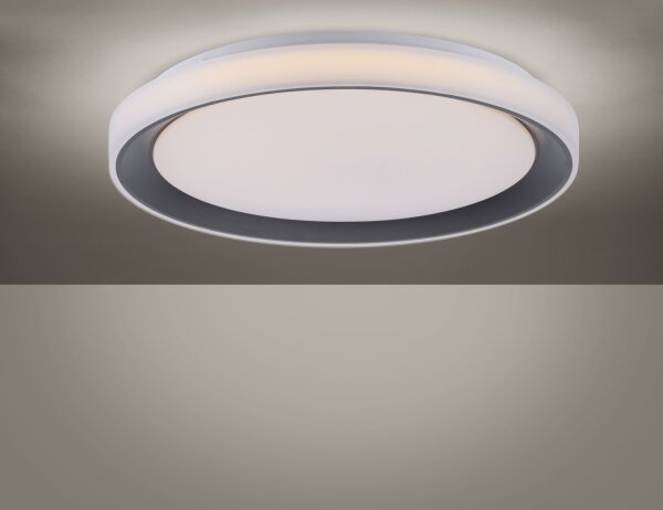 Leuchten Direkt 14659-18 - LED RGB Димируема лампа LOLA LED/24W/230V + д.у
