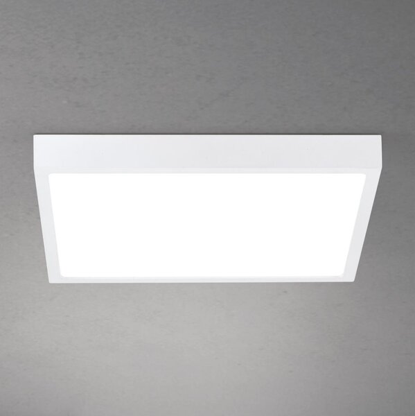 Orion - LED димируемо таванно осветително тяло DISC LED/30W/230V 2700/3000/4000K 39x39 cm бяло