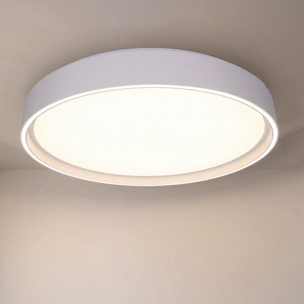 Brilagi-LED димируемо осветително тяло NANCI LED/60W/230V 3000-6500K Ø 49 cm бяло с дистанционно управление