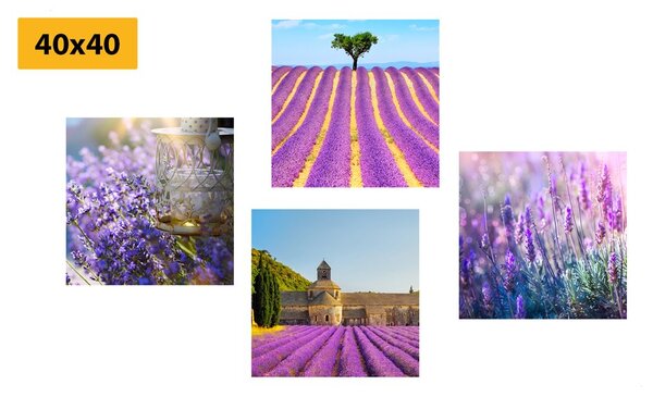 Комплект картини – Лавандулово богатство
