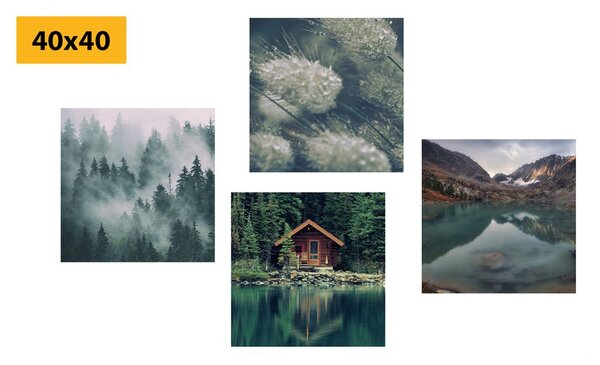 Комплект картини – Вълшебна природа