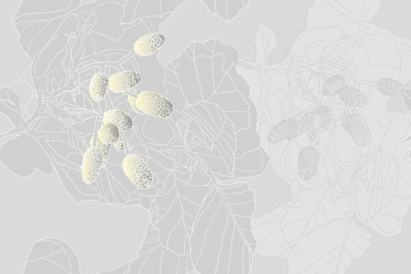 Тапет – Абстрактни шишарки в сиво изпълнение