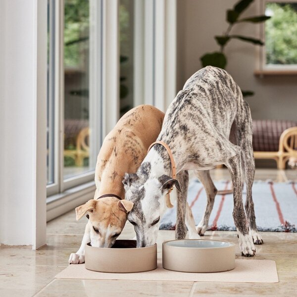 Керамична купа за куче ø 13 cm Sia – OYOY Living Design