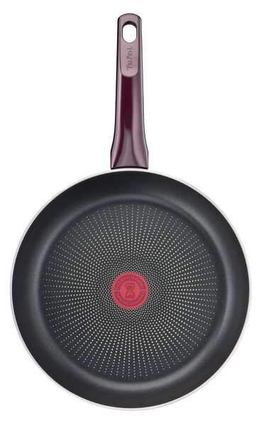 TEFAL RESIST INTENSE ТИГАН 24 СМ