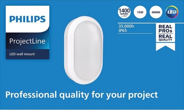 Philips - LED Аплик PROJECTLINE LED/15W/230V IP65