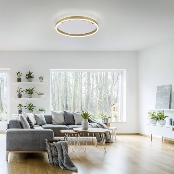 Leuchten Direkt 15391-60 - LED Димируем плафон RITUS LED/20W/230V