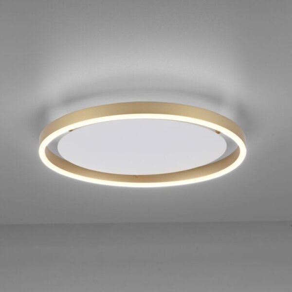 Leuchten Direkt 15391-60 - LED Димируем плафон RITUS LED/20W/230V