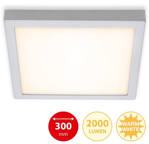 Briloner 7142-014 - LED Плафон FIRE LED/21W/230V 3000K