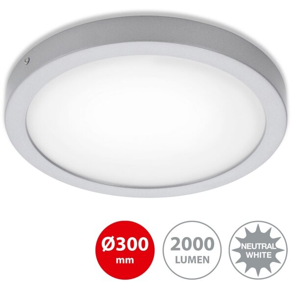 Briloner 7141-414 - LED Плафон FIRE LED/21W/230V 4000K