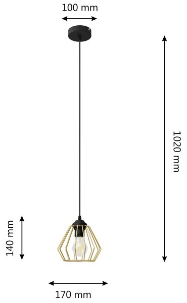 Пендел AGAT 1xE27/60W/230V златист/черен