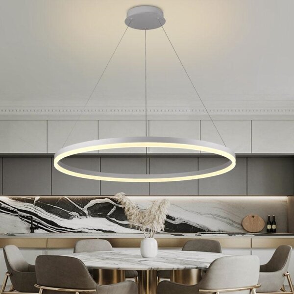 Brilagi - Димируем LED полилей на кабел CIRCLE LED/55W/230V 3000-6500K + ДУ
