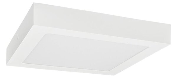 LED Плафониера FENIX LED/18W/230V 3800K 22,5 см снежнобял