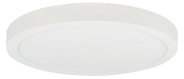 LED Плафониера FENIX LED/32W/230V 3800K Ø 40 см снежнобял