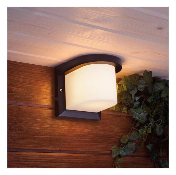 Екстериорен аплик PETUNIA 1xE27/60W/230V IP44 антрацит