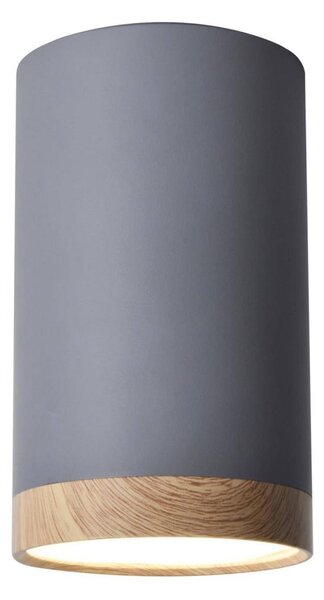 LED Лампа за таван TUBA LED/9W/230V