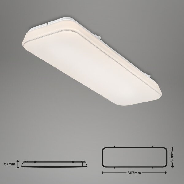 Briloner 3040-016 - LED Димируем плафон RUPA LED/24W/230V