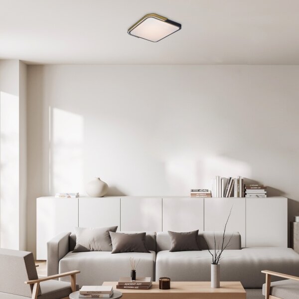 Rabalux 71146 - LED Димируем плафон ARILD LED/48W/230V Wi-Fi Tuya