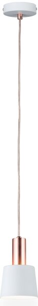 Paulmann 79656 - 1xE14/20W Пендел NEORDIC HALDAR 230V