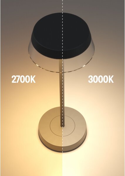 Redo 90312 - LED Димируема настолна лампа ILUNA LED/2,5W/5V 3000 mAh IP65 черен