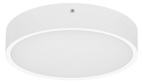 Ecolite WMAT300-15W/BI - LED Плафониера MARTIN LED/15W/230V IP65 бял