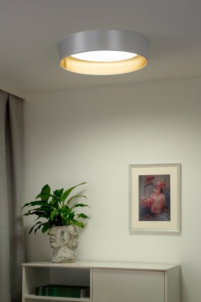 Duolla - LED Плафониера ROLLER LED/24W/230V Ø 45 см сребрист/златист