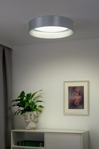 Duolla - LED Плафониера ROLLER LED/24W/230V сребрист