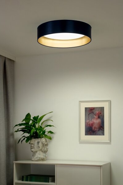 Duolla - LED Плафониера ROLLER LED/24W/230V син/златист