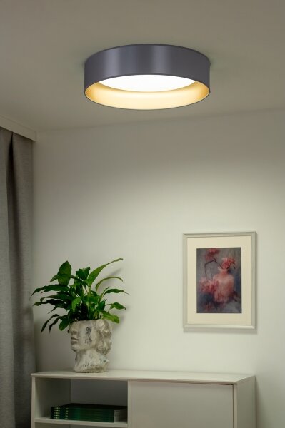 Duolla - LED Плафониера ROLLER LED/24W/230V сребрист/златист