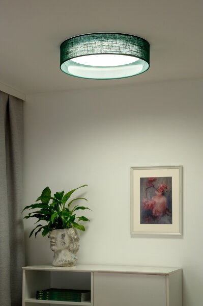 Duolla - LED Плафониера ROLLER LED/24W/230V зелен